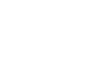 PostHub Client Logo - Netflix